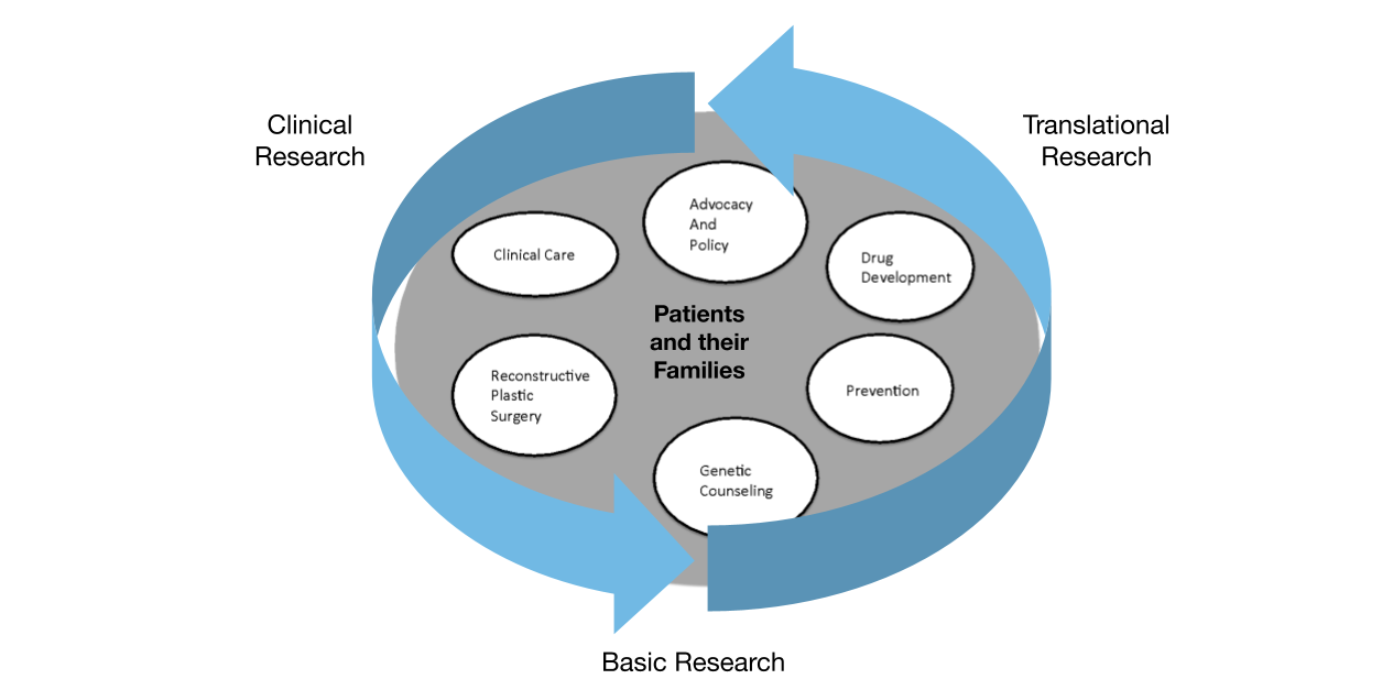 graphic depicting examples of basic research, translational research, and clinical research as it relates to patients and their families