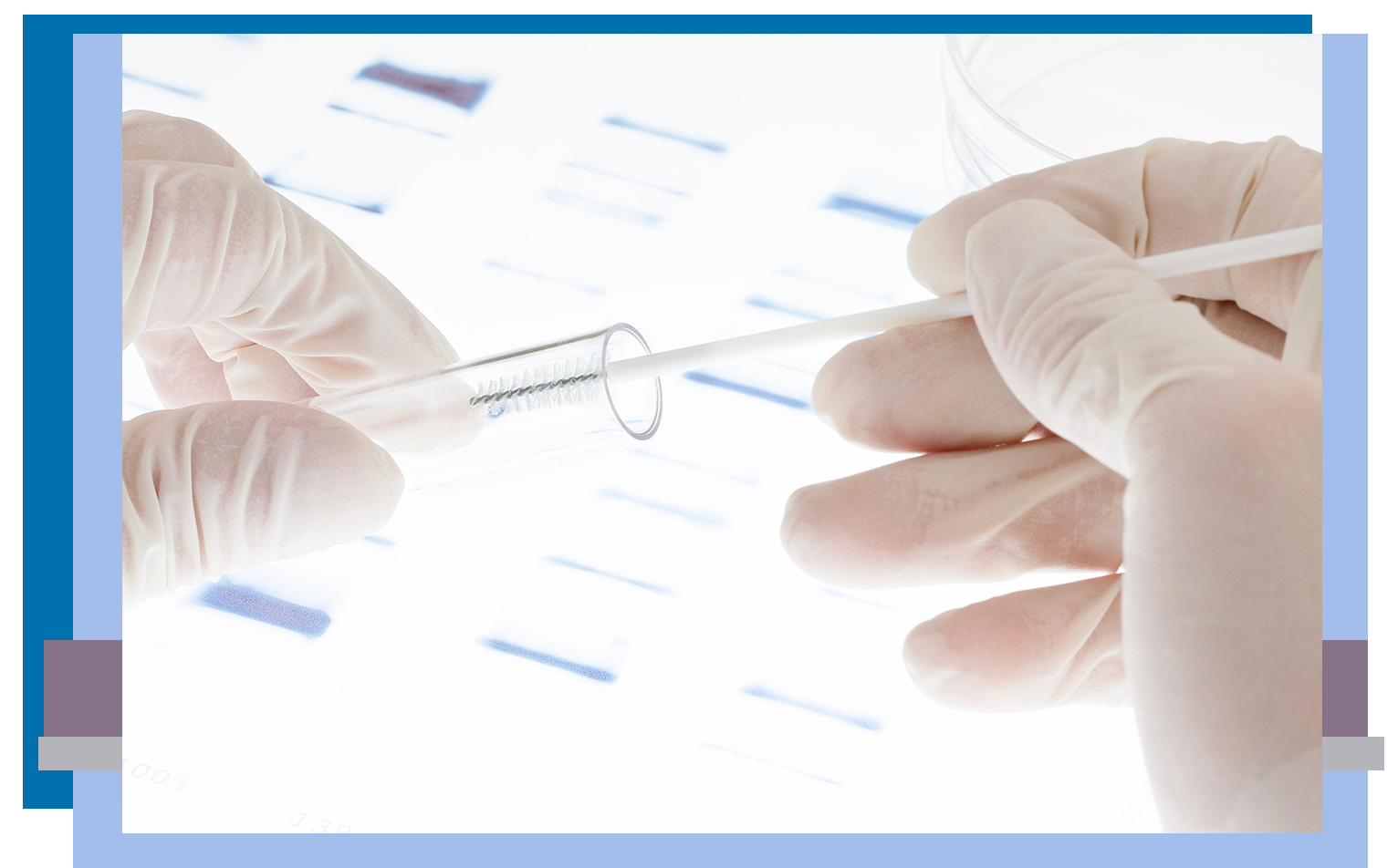 gloved hands extracting a sample from test tube